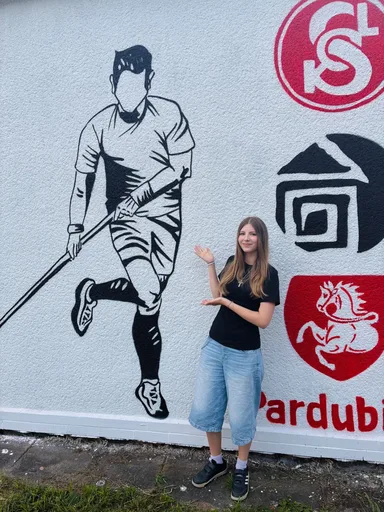 Mural na zdi areálu TJ Sokol Pardubice